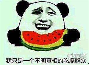 吃瓜群众的意思和造句怎么写,揭秘网络热议背后的围观心态
