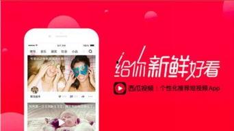 娱乐吃瓜酱视频边框图片