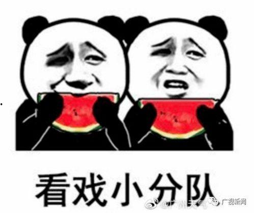 吃瓜娱乐透明表情包,网络热传背后的趣味与思考